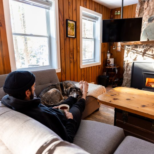 Foyer au bois pierres des champs, chiens acceptés