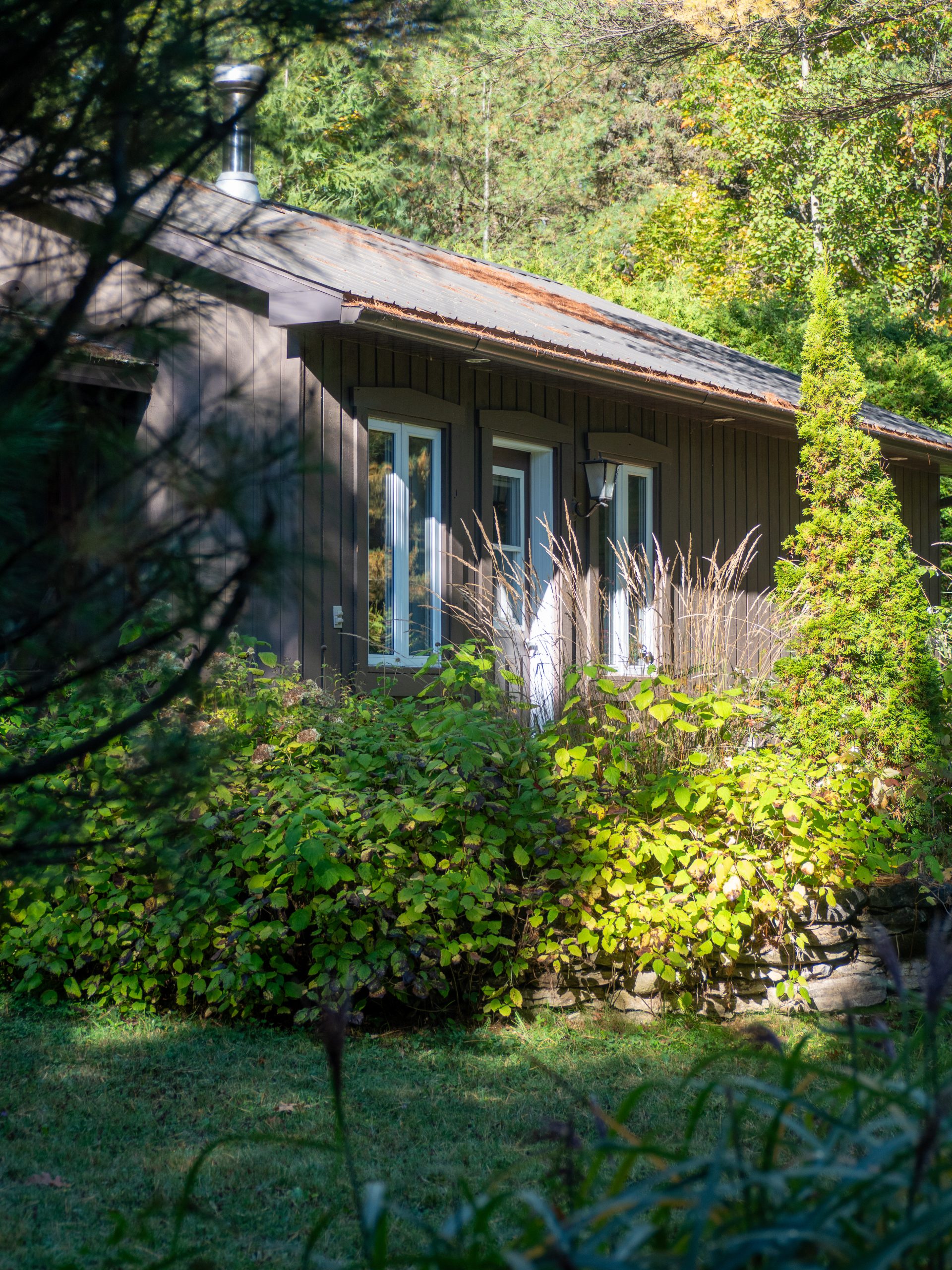 Façade du chalet Le Sous-bois entourée de verdure en été