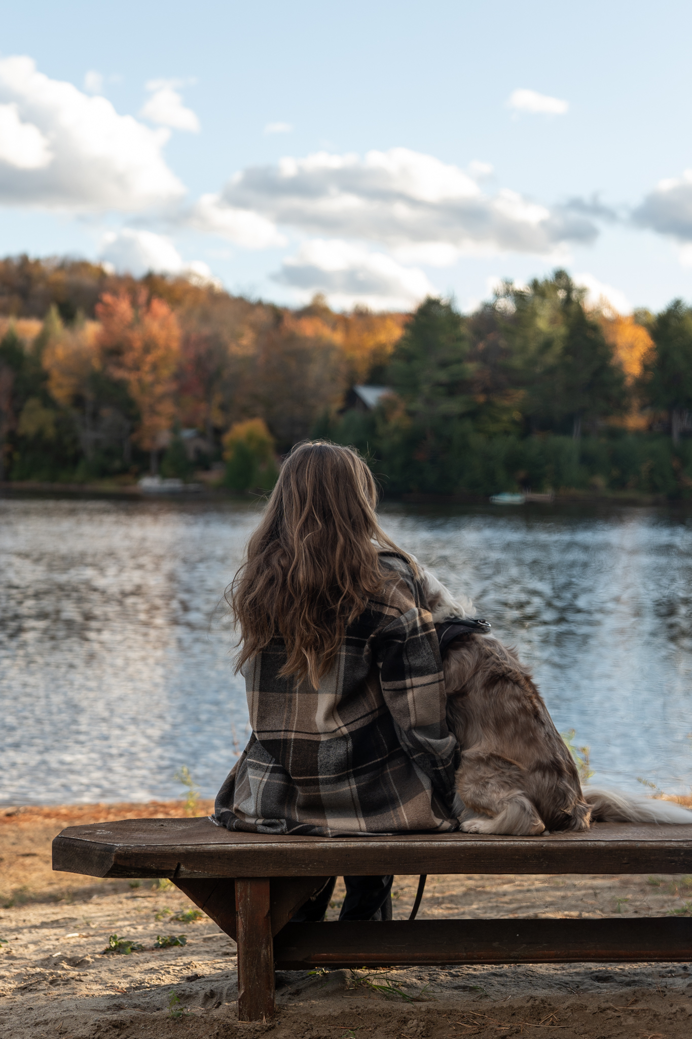 Femme et son chien assis sur un banc face au Lac des Pins en automne, Domaine Chalets des Pins à Rawdon