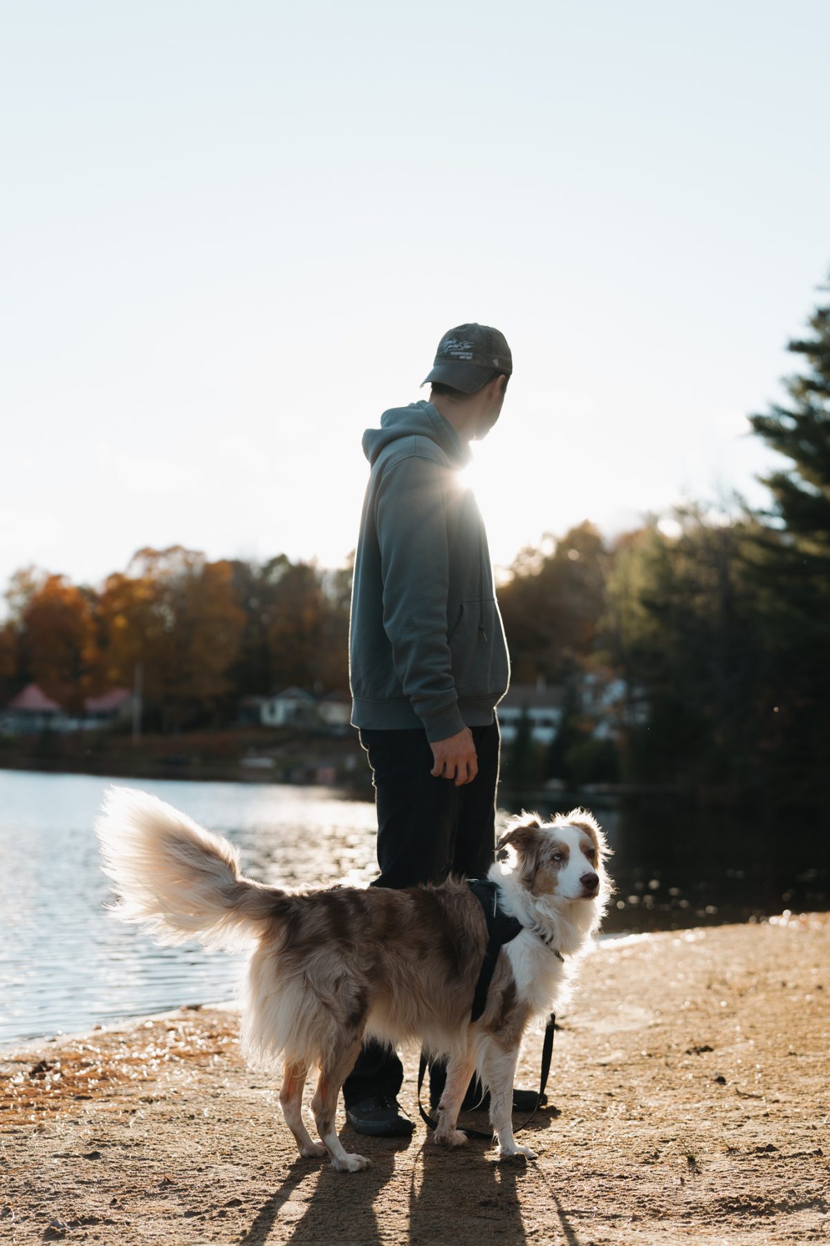 Homme et son chien au bord du Lac des Pins au coucher du soleil, Domaine Chalets des Pins